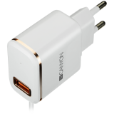 картинка CANYON H-043 Universal 1xUSB AC charger (in wall) with over-voltage protection, plus lightning USB connector, Input 100V-240V, Output 5V-2.1A, with Smart IC, white(rose-gold electroplated stripe), cable length 1m, 81*47.2*27mm, 0.059kg от магазина itmag.kz