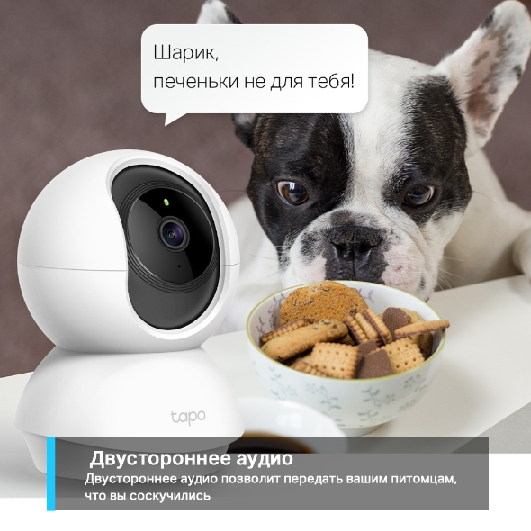 Камера видеонаблюдения TP-Link Tapo C210 (TAPO C210 V1.0/2.0/2.2) фото