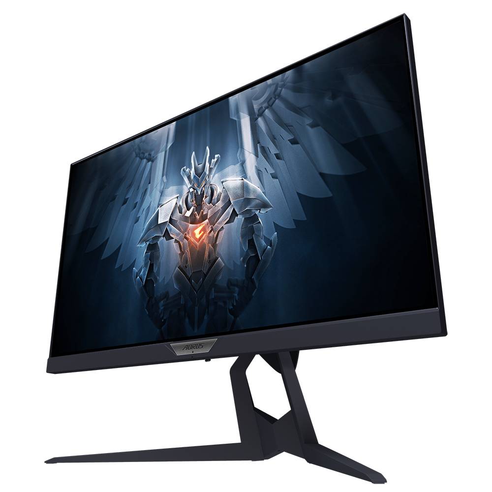  (AORUS FI25F-EK) фото