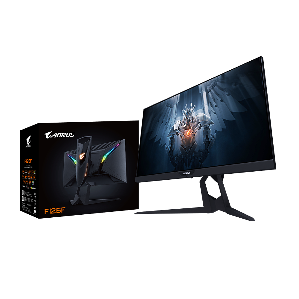  (AORUS FI25F-EK) фото