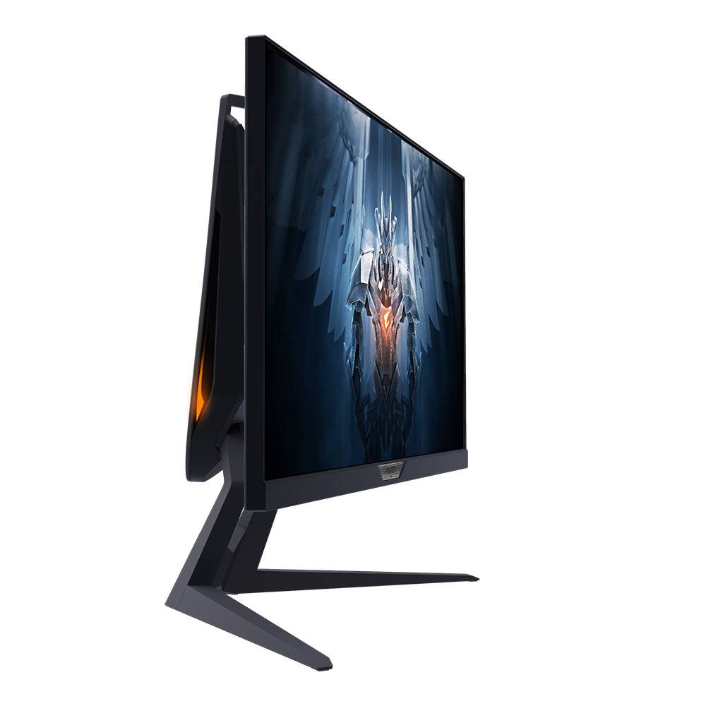  (AORUS FI25F-EK) фото