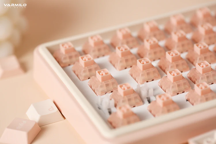 Клавиатура Varmilo Minilo VXT67 Gateron G Pro 2.0 Brown (A42A062E3A5A01A039) фото