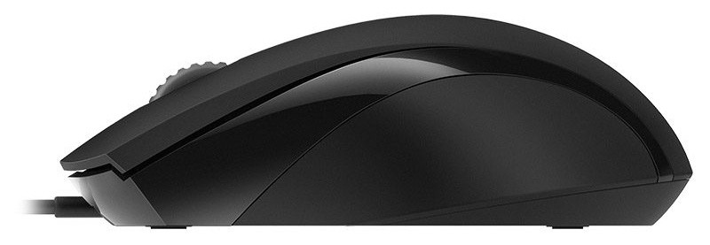 Компьютерная мышь Rapoo N1200 Чёрный (N1200) фото