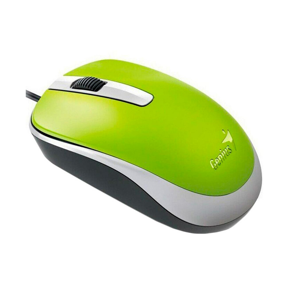 картинка Компьютерная мышь Genius DX-120 Green от магазина itmag.kz