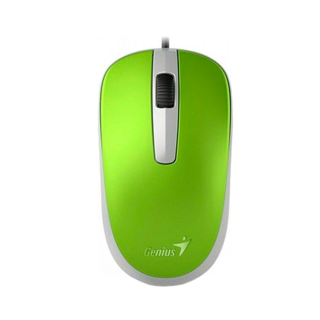 картинка Компьютерная мышь Genius DX-120 Green от магазина itmag.kz