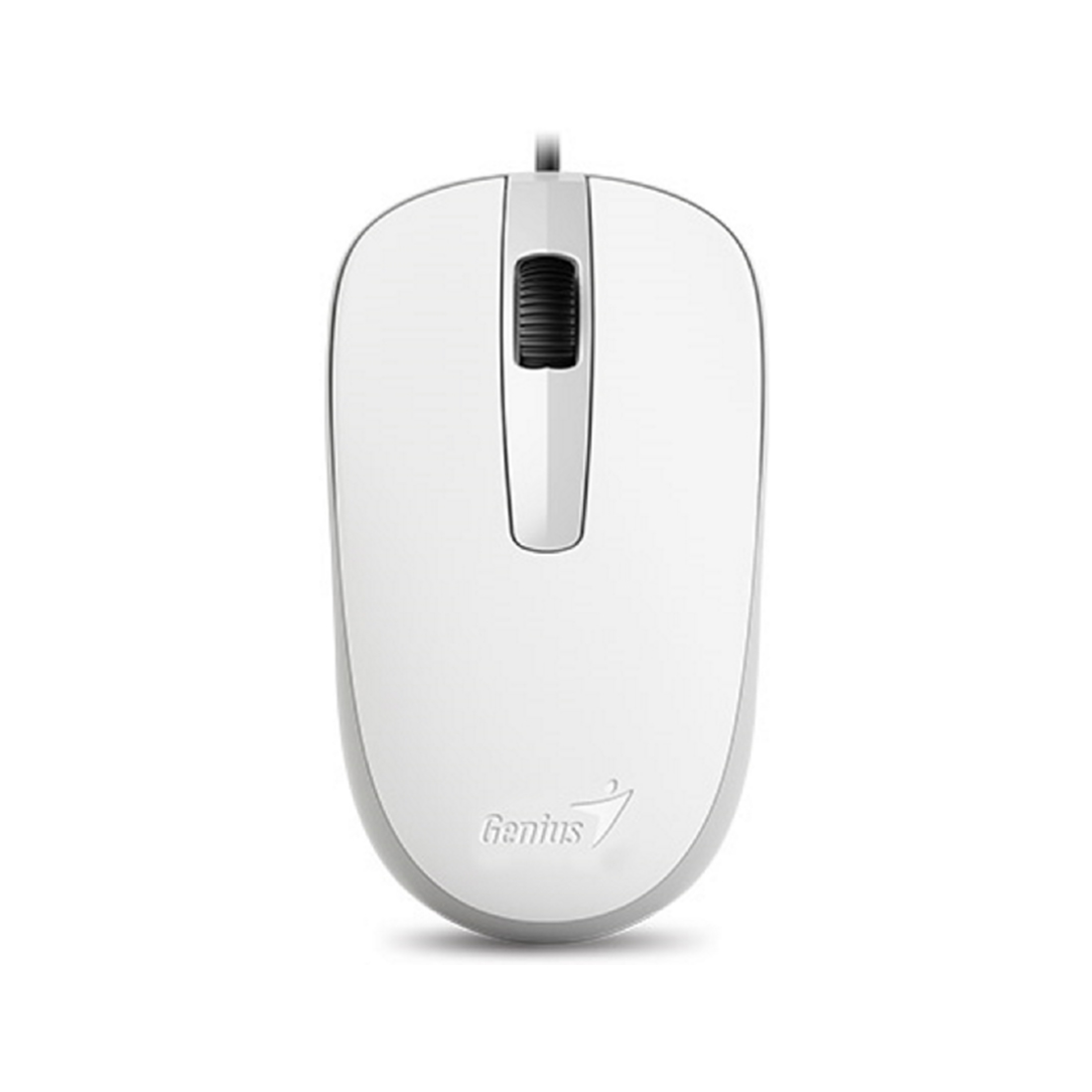 Компьютерная мышь Genius DX-120 White (DX-120, USB White) фото