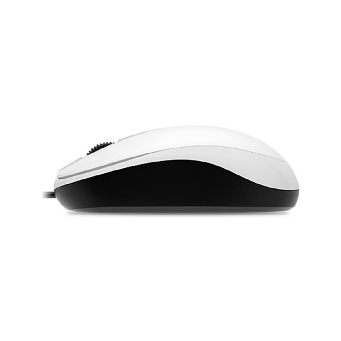 Компьютерная мышь Genius DX-120 White (DX-120, USB White) фото
