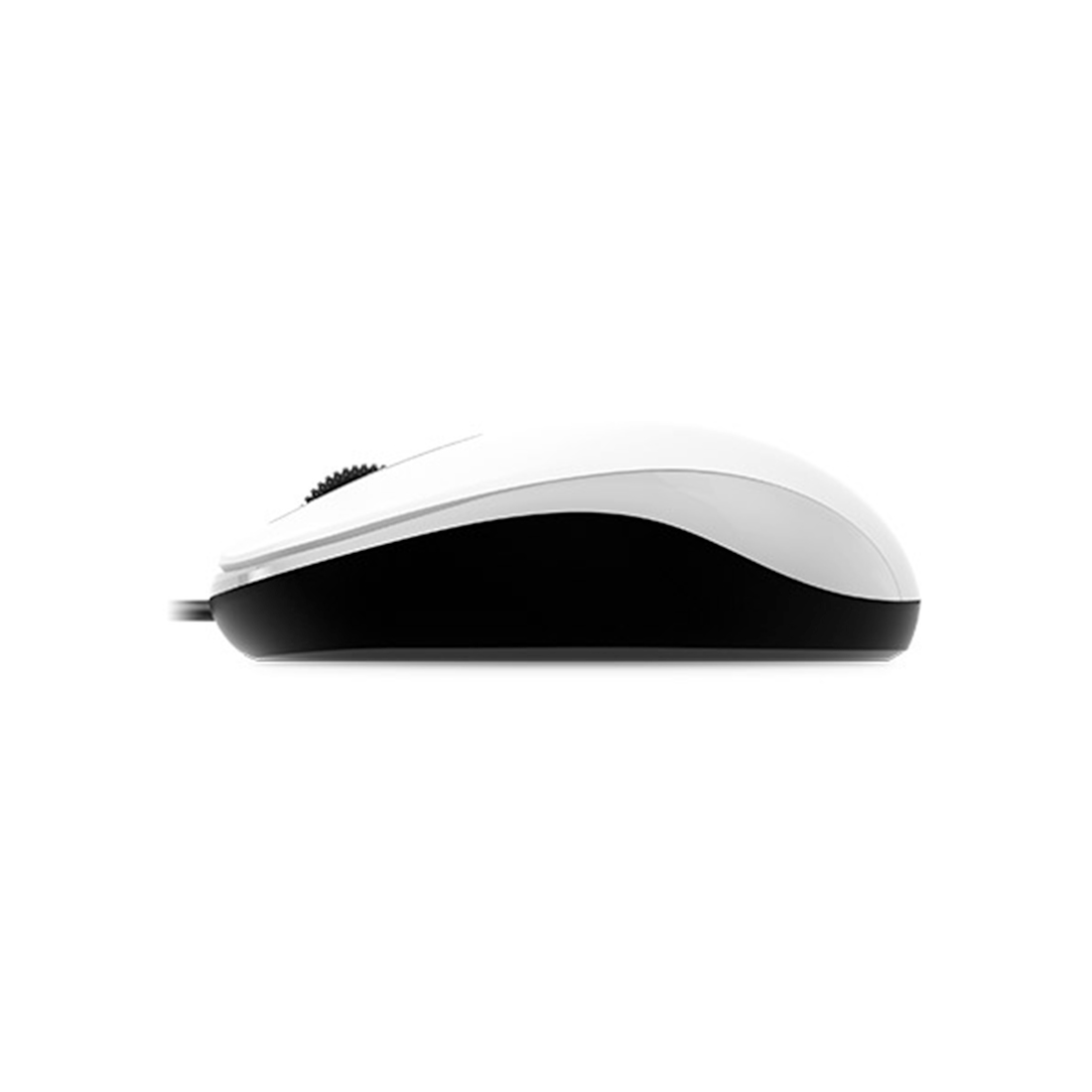 картинка Компьютерная мышь  Genius DX-110 White от магазина itmag.kz