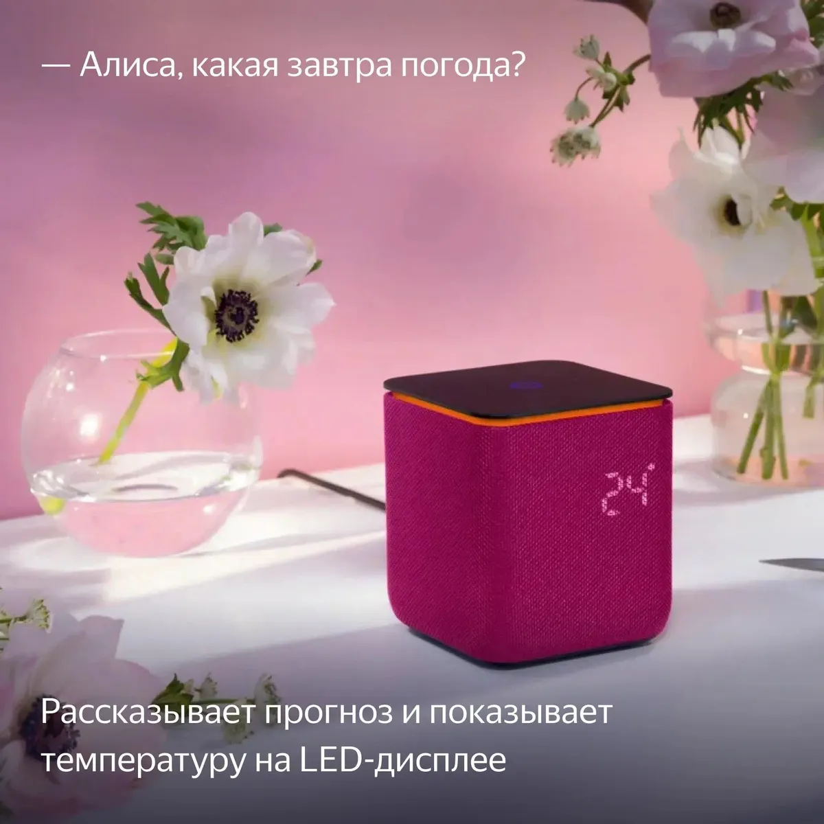 Умная колонка Яндекс.Станция Миди с Zigbee, Малиновая (YNDX-00054PNK) фото