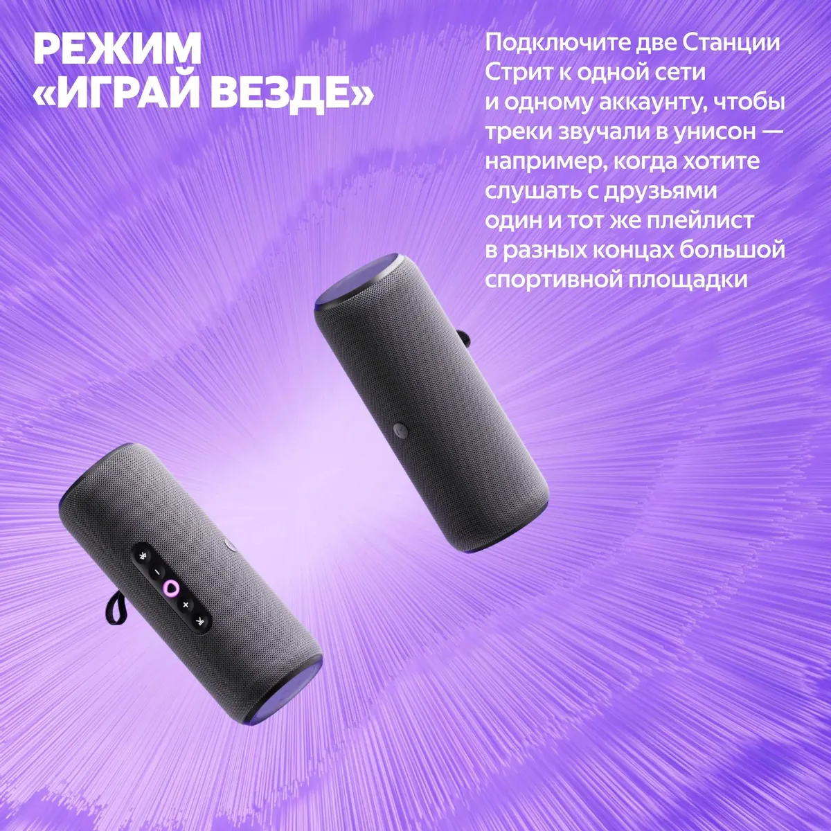 Портативная умная колонка Яндекс Станция Стрит с Алисой, Серый (YNDX-00030GRY) фото