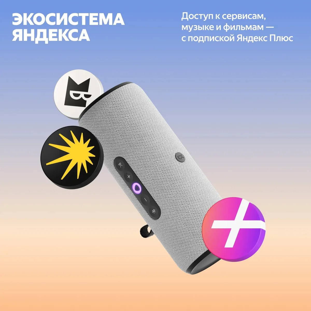 Портативная умная колонка Яндекс Станция Стрит с Алисой, Серый (YNDX-00030GRY) фото