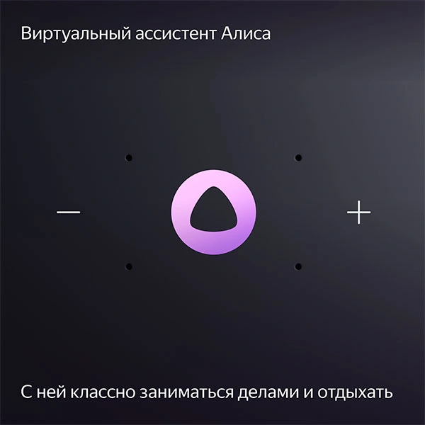 Яндекс.Станция Миди Черная (YNDX-00054 Black) фото