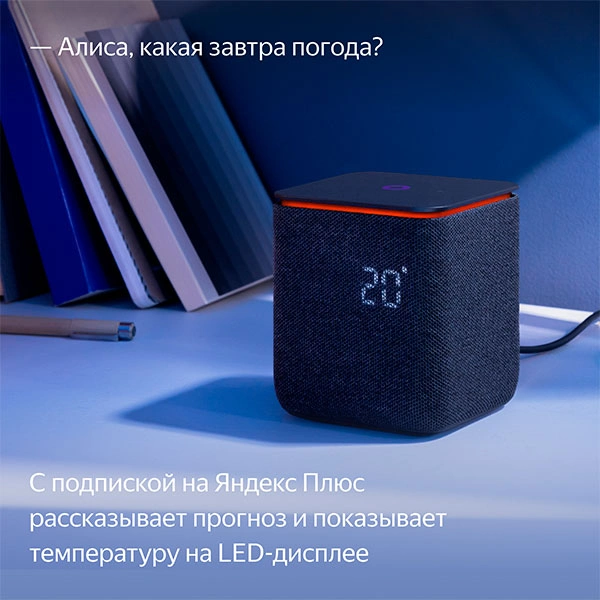 Яндекс.Станция Миди Черная (YNDX-00054 Black) фото