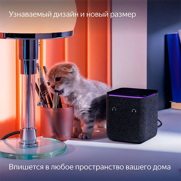 Яндекс.Станция Миди Черная (YNDX-00054 Black) фото