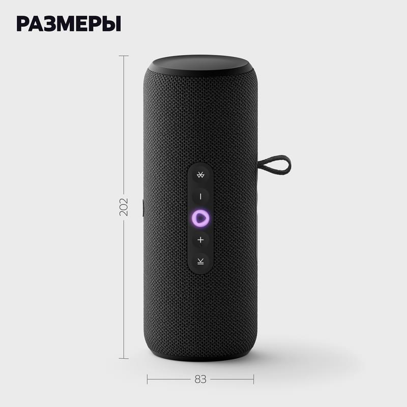 Колонка Яндекс.Станция Стрит c Алисой (2.0), Black, 30Вт Wi-Fi, BT (YNDX-00030BLK) фото