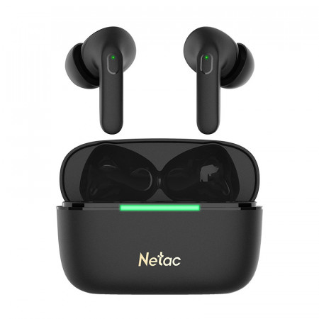 Наушники беспроводные Netac LK65A typeC (LK65ABEN) фото
