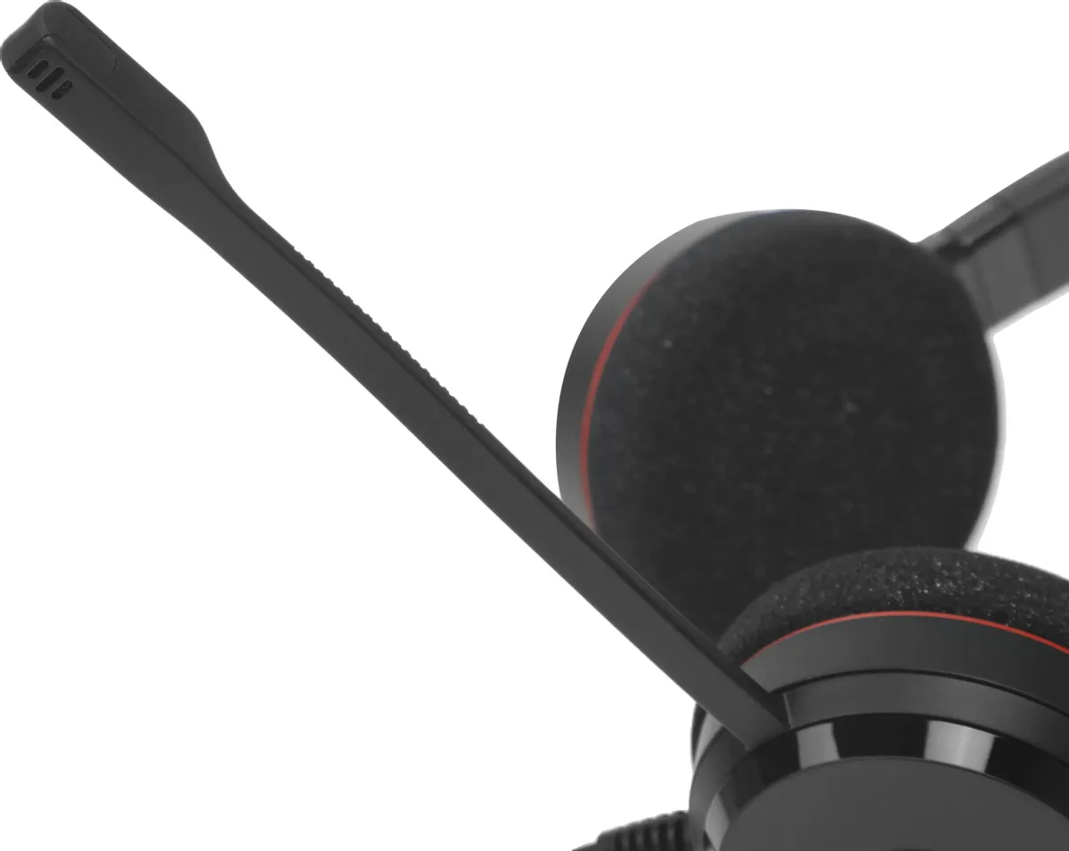 Гарнитура Jabra EVOLVE 20 Stereo MS USB C/A adapter (4999-823-169) фото