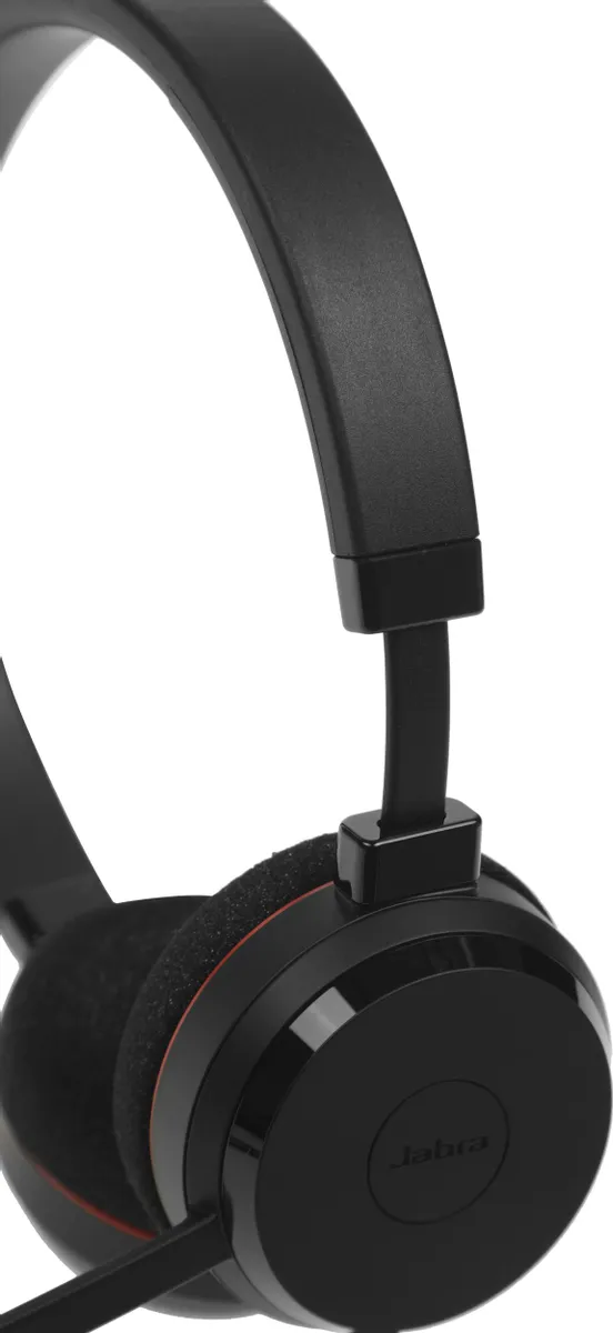 Гарнитура Jabra EVOLVE 20 Stereo MS USB C/A adapter (4999-823-169) фото