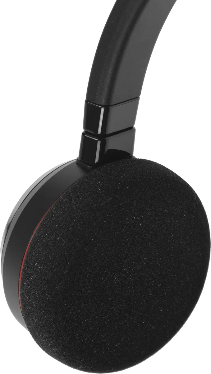 Гарнитура Jabra EVOLVE 20 Stereo MS USB C/A adapter (4999-823-169) фото