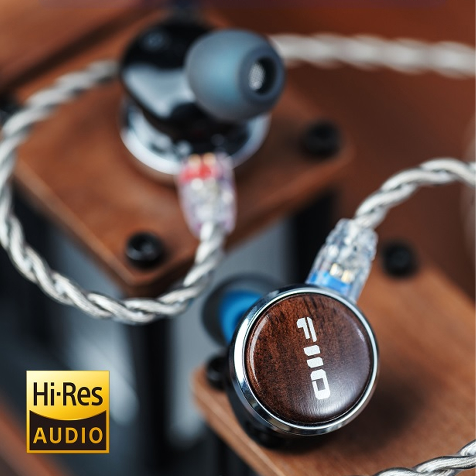 Наушники FiiO FP3, Black Walnut (FP3/TYPE-C) фото