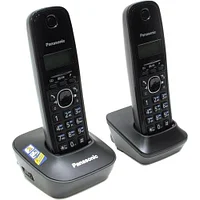Радио-телефон Panasonic KX-TG1612CAH, AOH,Gray (KX-TG1612CAH/RUH) фото
