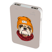 картинка Зарядное устройство Power bank Ritmix RPB-10007 Bulldog от магазина itmag.kz
