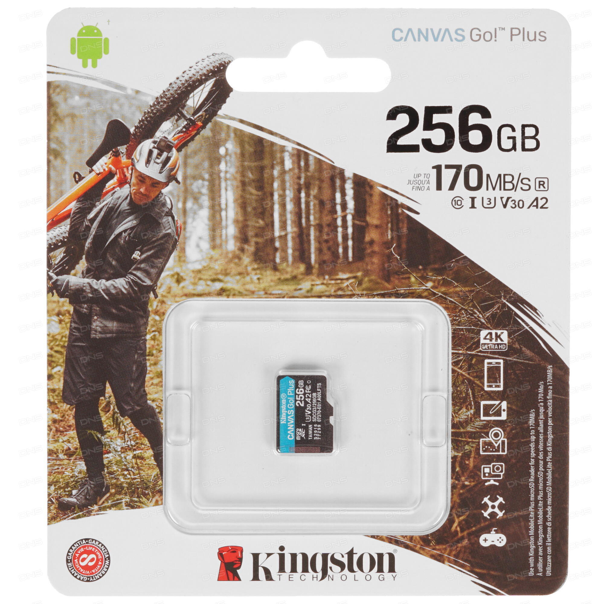 картинка Карта памяти Kingston 256GB microSDXC Canvas Go Plus 170R A2 U3 V30 Card, без адаптера, SDCG3/256GBSP от магазина itmag.kz