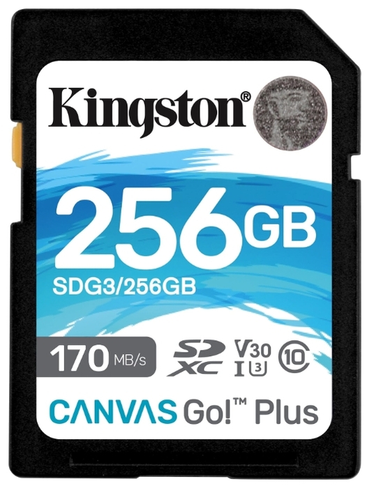 картинка Карта памяти SD, Kingston Canvas Go! Plus, 256GB, SDG3/256GB, Class 10, UHS-I, R170/W90 от магазина itmag.kz