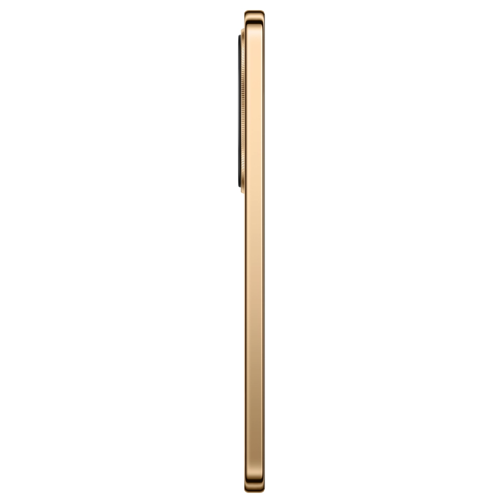 Смартфон Honor X9d 8/256GB Reddish Brown (5109BYKT) фото