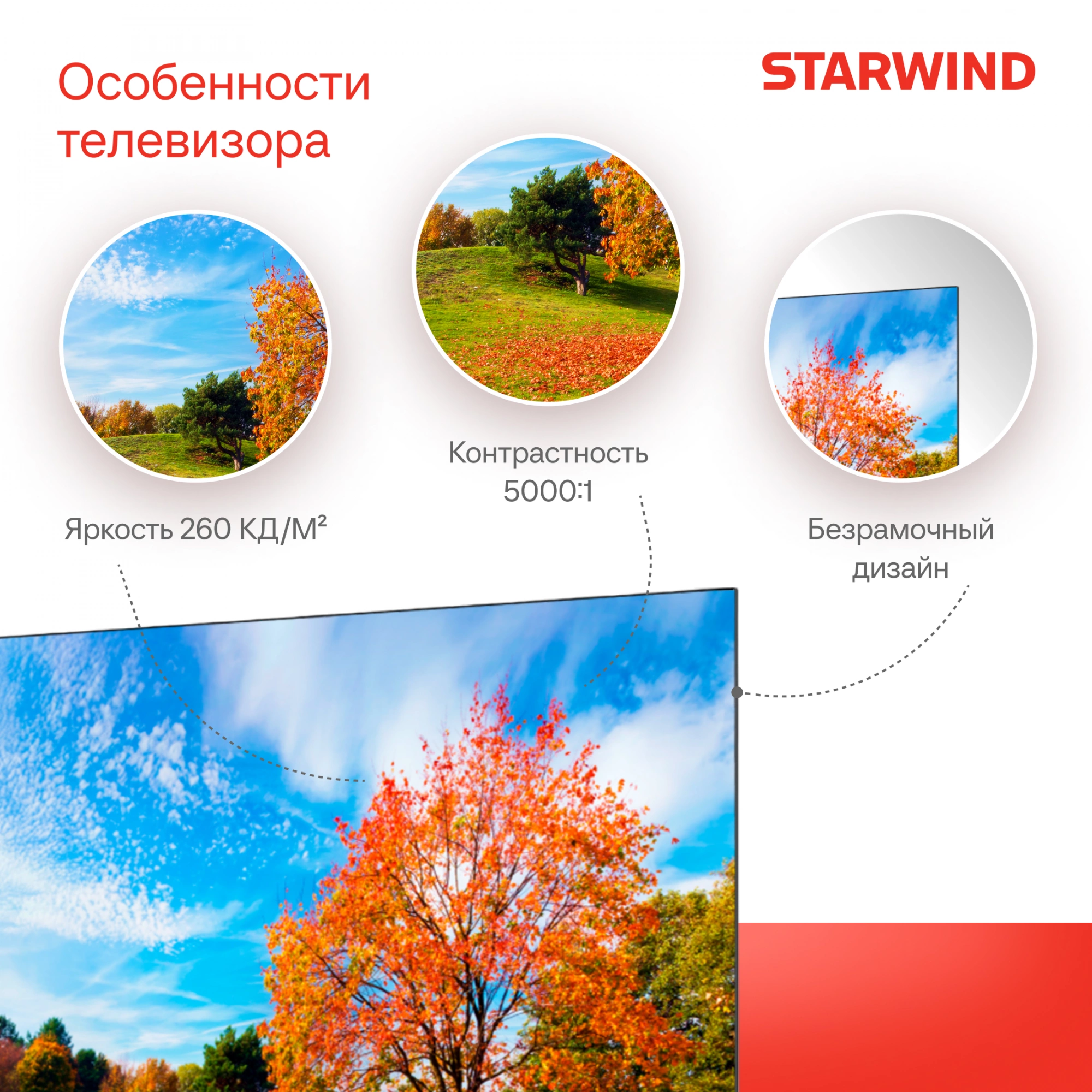 Телевизор Starwind SW-LED55UG403 55" (SW-LED55UG403) фото