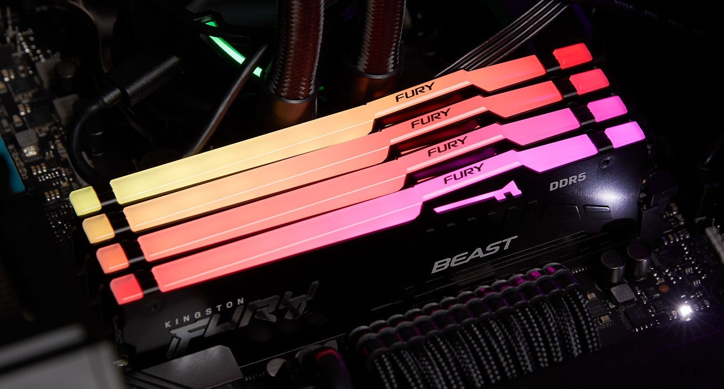 Модуль памяти Kingston Fury Beast Black RGB EXPO DDR5 64Gb 5600MHz (KF556C40BBA-64) фото