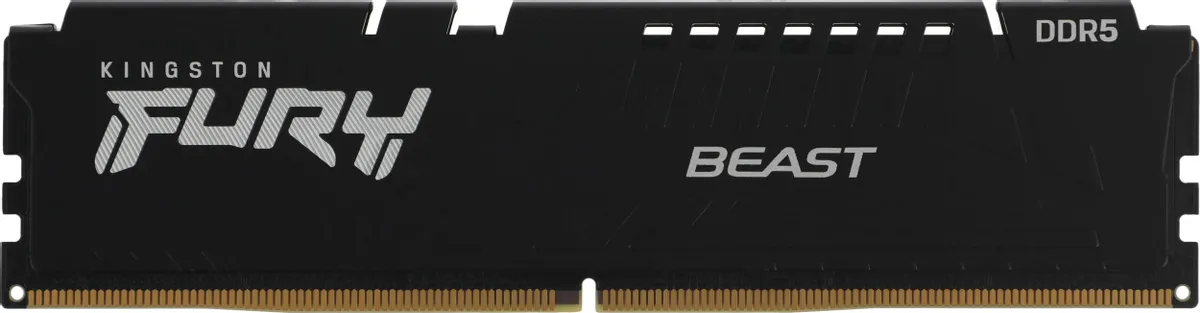 Память оперативная Kingston FURY Beast Black EXPO DDR5 16GB 6400MT/s (KF564C32BBE-16) фото