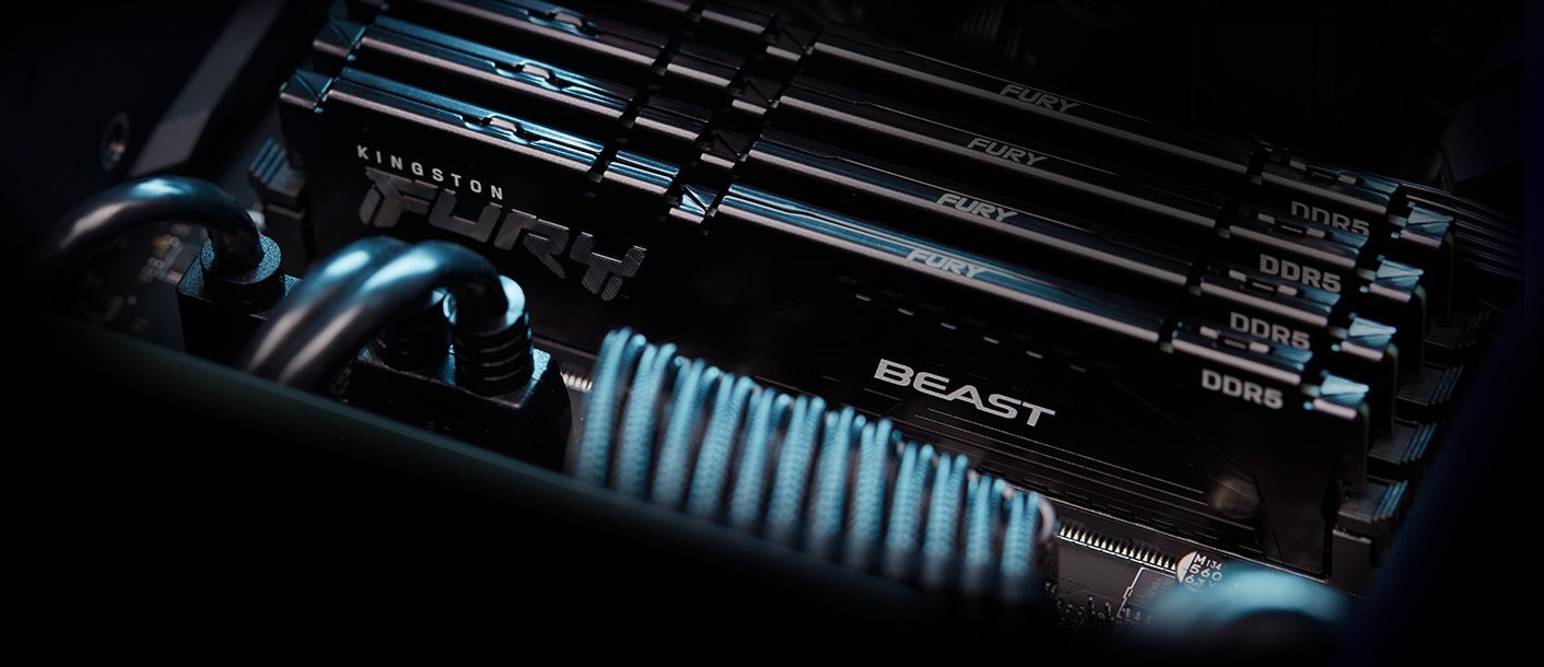 Оперативная память Kingston FURY Beast Black EXPO DIMM DDR5 16GB 6000MT/s (KF560C30BBE-16) фото
