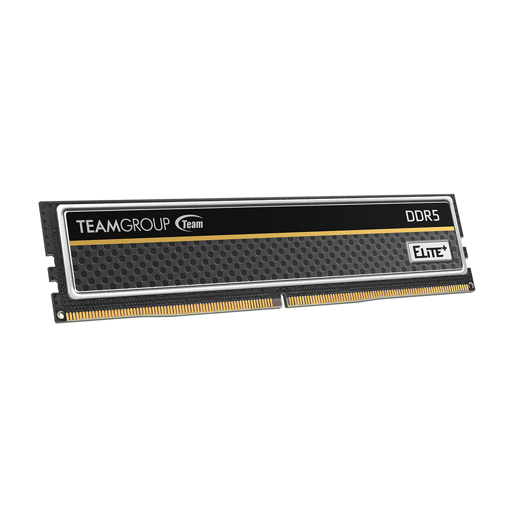 Оперативная память Team Group ELITE Plus DDR5 16GB 5600MHz Black (TPBD516G5600HC4601) фото