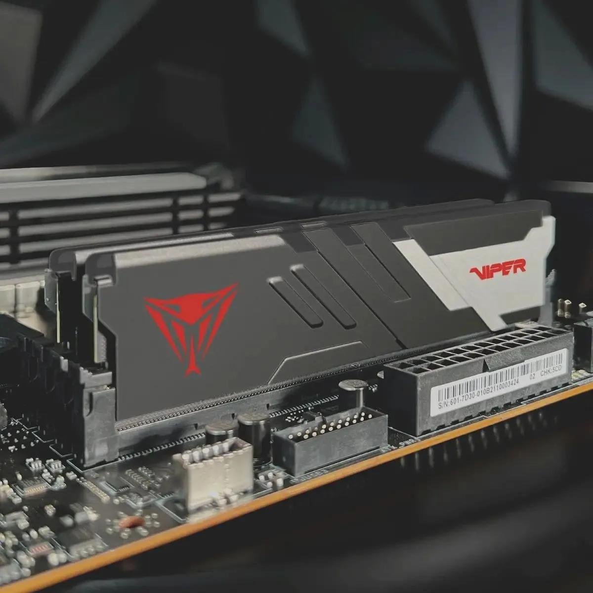 Комплект модулей памяти DIMM Patriot Viper Venom DDR5 32 GB kit (2x16GB) <6000MHz> (PVV532G600C36K) фото