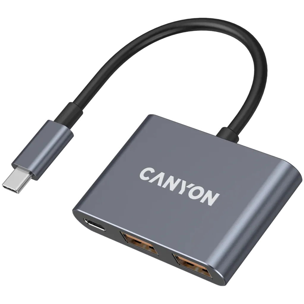 USB-хаб Canyon DS-3 3in1 USB-C Dark Grey (CNS-TDS3) фото