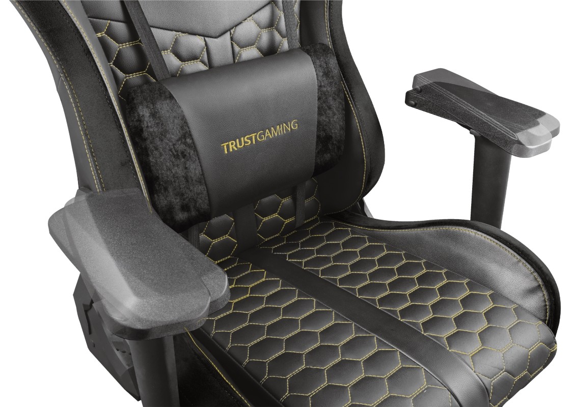 Кресло геймерское Trust GXT 712 Resto Pro, Black (23784) фото