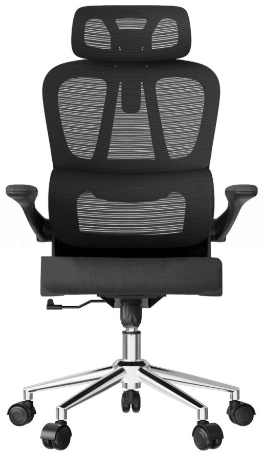 Кресло офисное FlexiSpot OC19BB, Black (OC19BB) фото