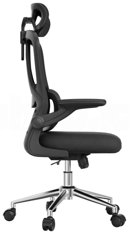 Кресло офисное FlexiSpot OC19BB, Black (OC19BB) фото