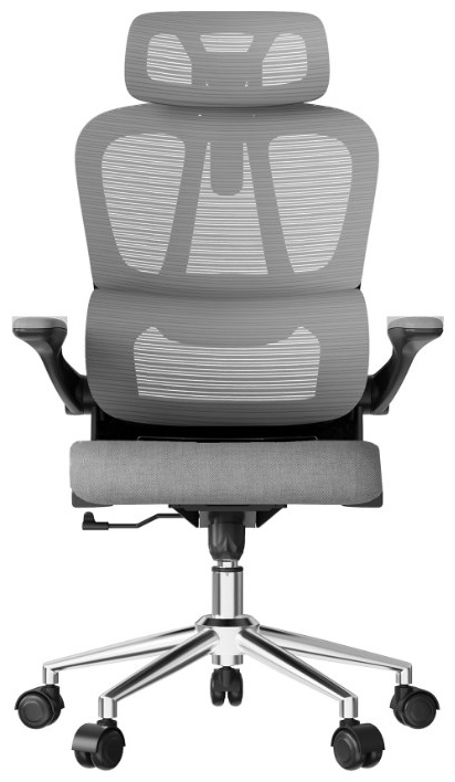 Офисное кресло Flexispot OC19G, Grey (OC19G) фото