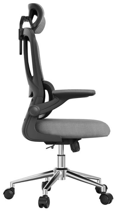 Офисное кресло Flexispot OC19G, Grey (OC19G) фото