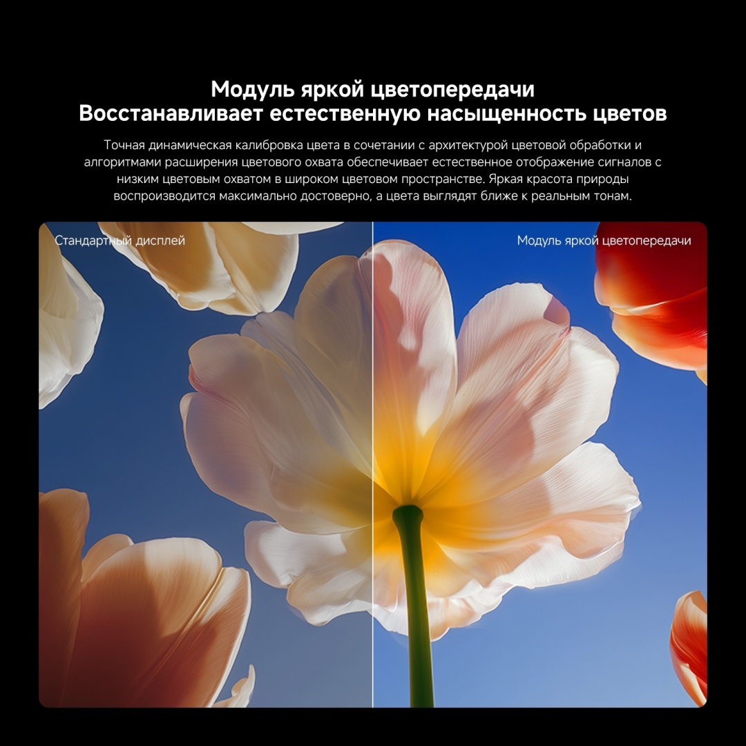 Смарт телевизор Xiaomi S Mini LED 2026 75" (L75MC-SRU) фото