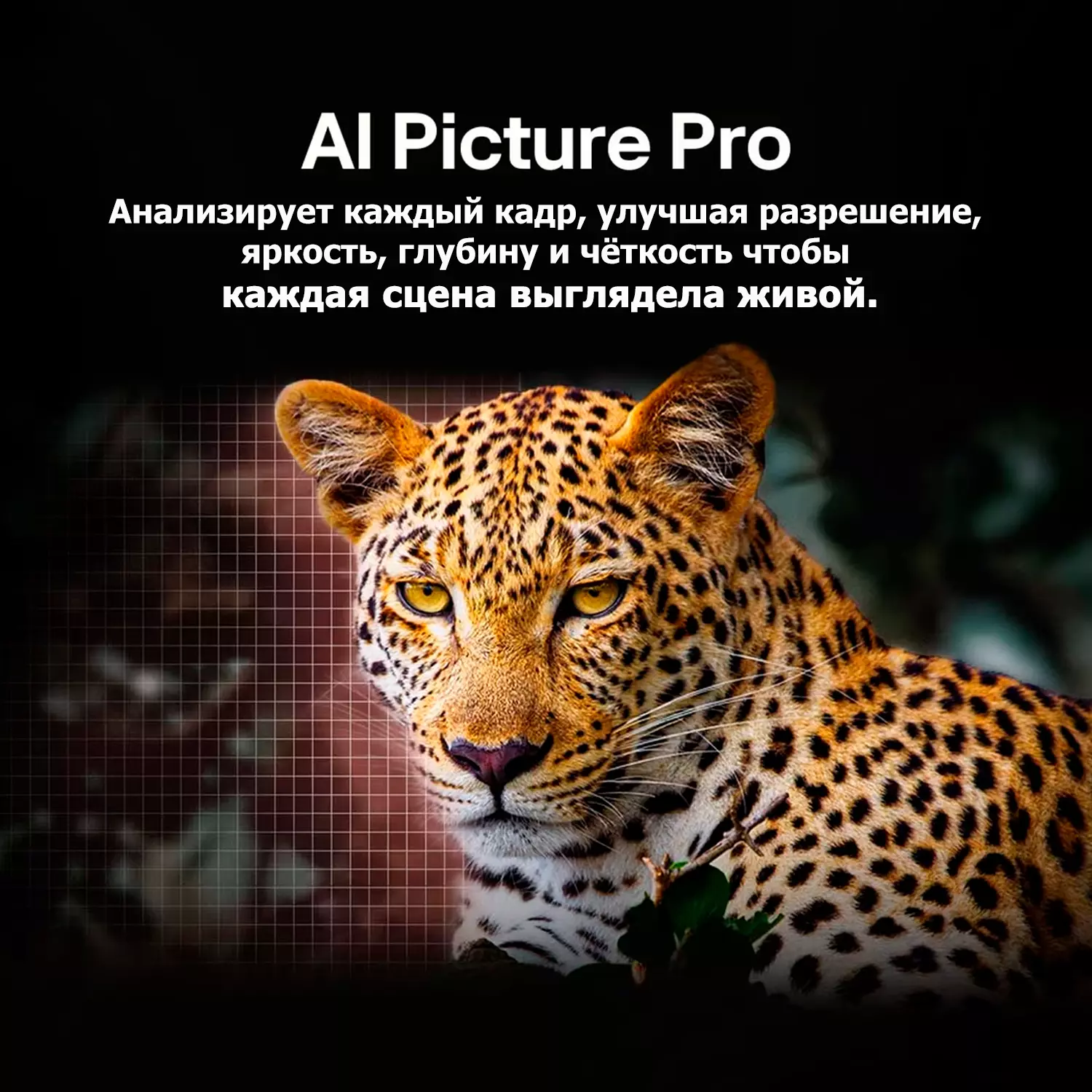 Телевизор LG OLED evo AI G5 4K 83" (OLED83G5RLA) фото