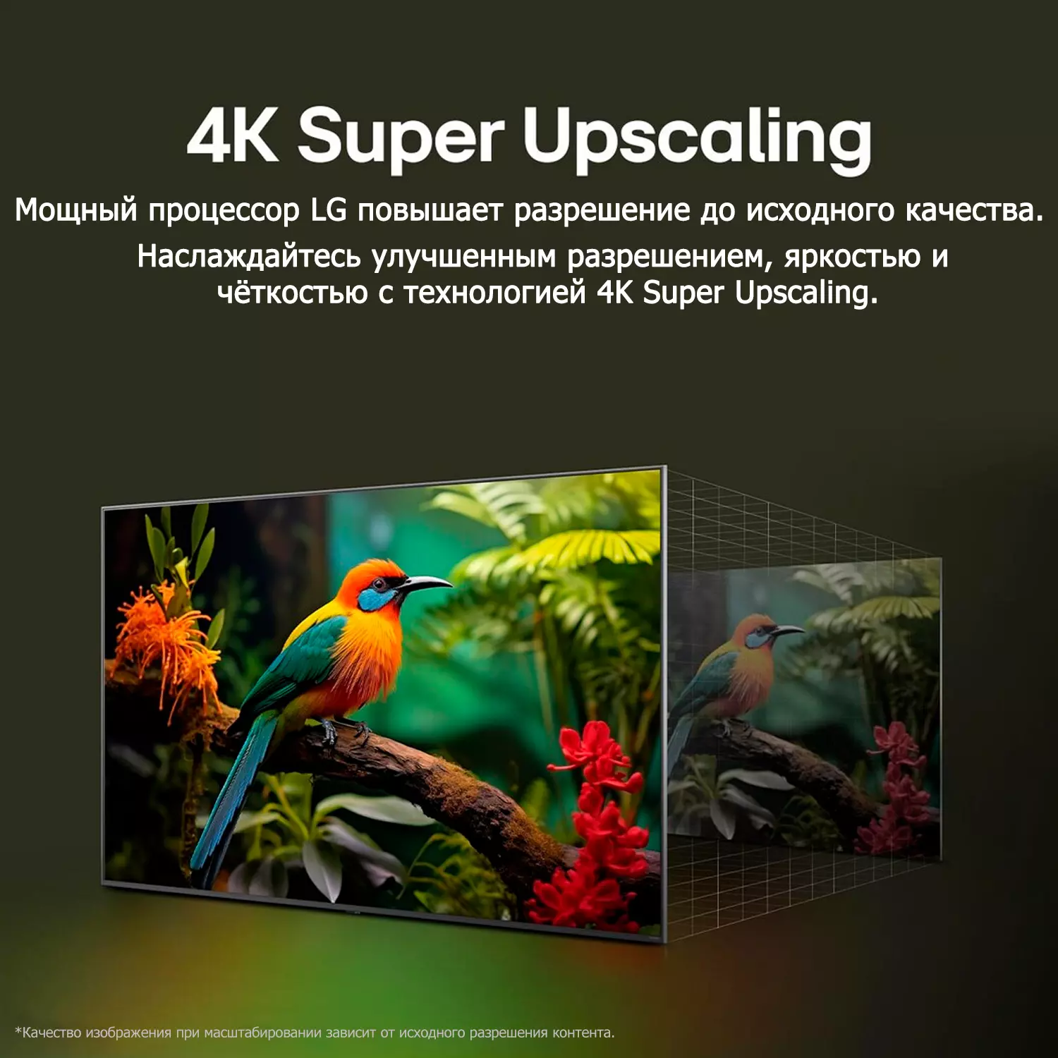 Телевизор LG UA73 43" LED 4K UHD Smart (43UA73006LA) фото