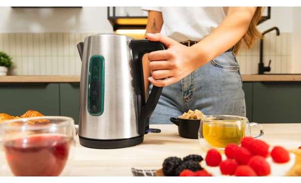 Чайник электрический Cecotec Thermosense 210 серый (01425) фото
