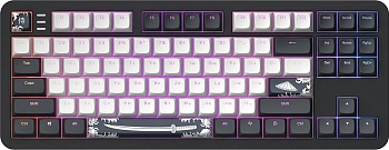 Клавиатура Dark Project ALU87B Bushido (DPKB_BUSHIDO_87_ANSI_UA) фото анонса каталога
