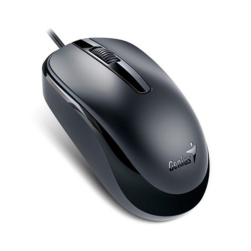 Компьютерная мышь Genius DX-120 Black (DX-120, USB Black) фото