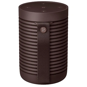 Колонки Bluetooth B&O BeoSound Explore Chestnut (1626005) фото анонса каталога
