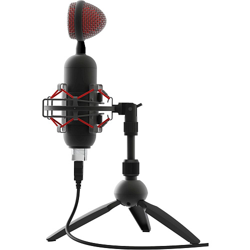 Студийный микрофон Ritmix RDM-230 USB Eloquence черный (80000958) фото